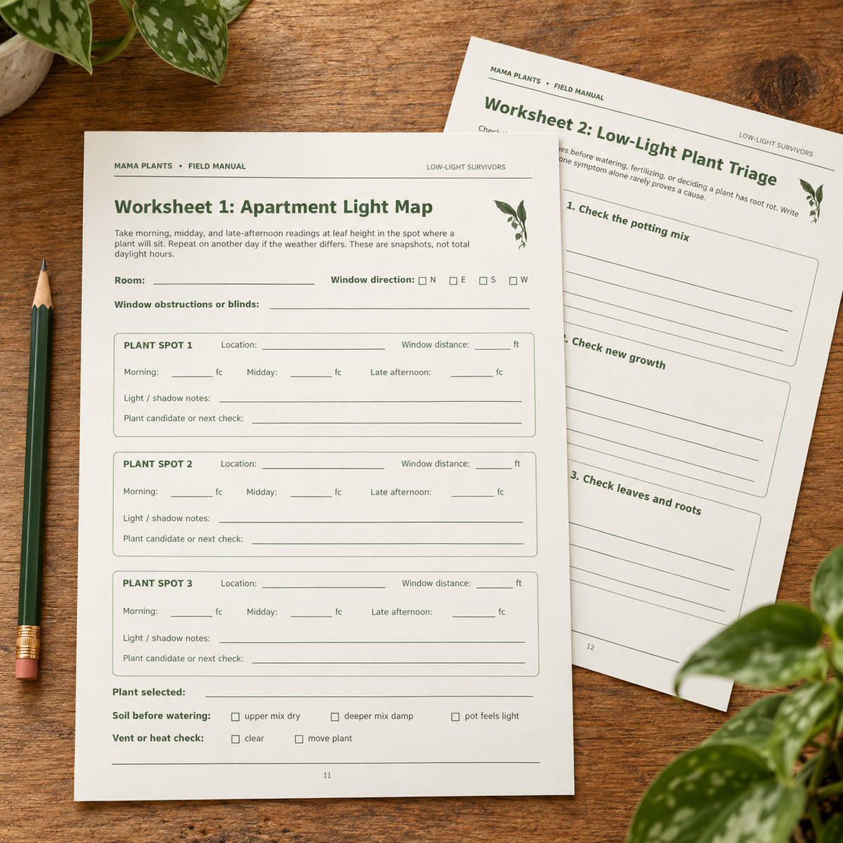 Low-Light Survivors: The Apartment Jungle Blueprint PDF (Digital Download Printable-No shipping)