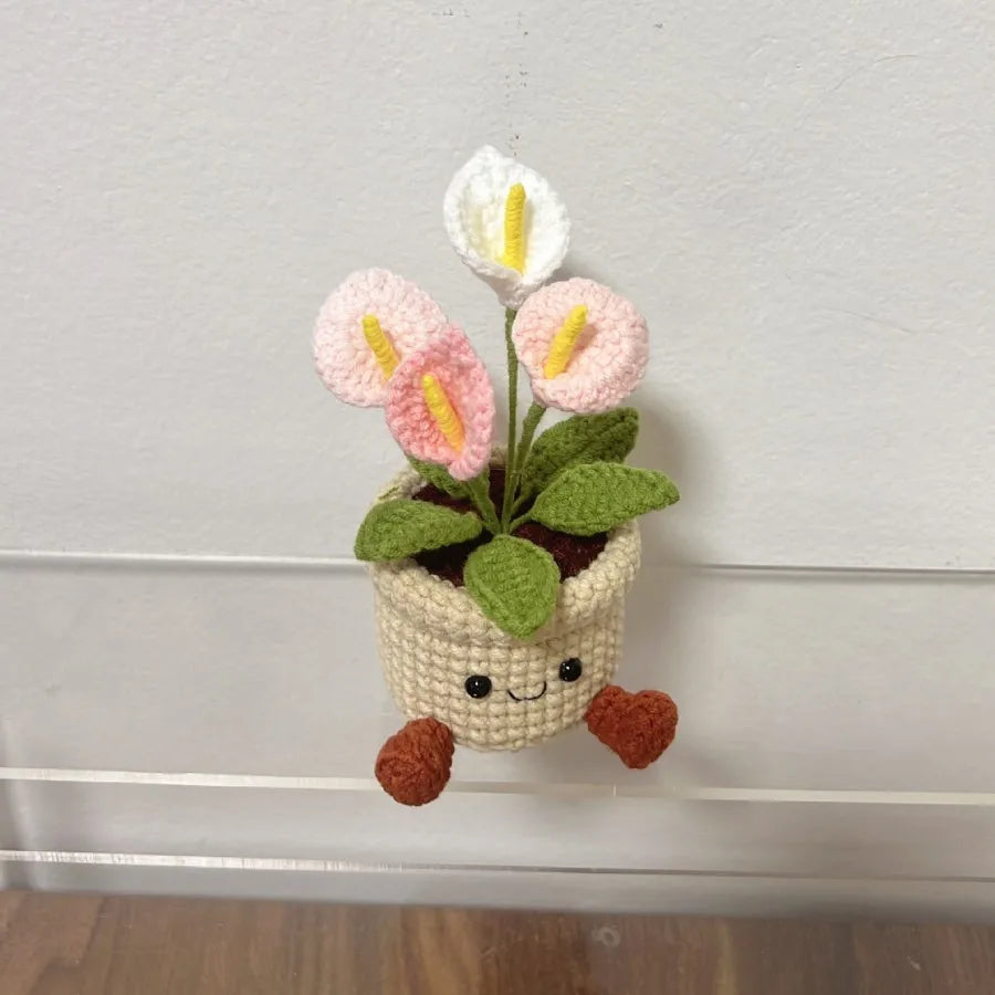 Handmade Everlasting Crochet Flowers Pot – Handcrafted Keepsake Gift For Plant Lovers & Proud Brown Thumbs